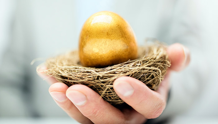 Will Your Nest Egg Last?